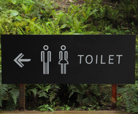 Какви са различните видове тоалетни и кой е правилният?