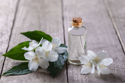 10 от най-божествените ухания, използвани в модерната парфюмерия
